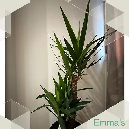 Emma's Apartment *