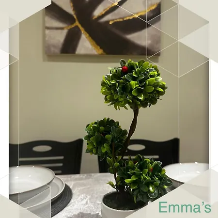 Emma's Apartment